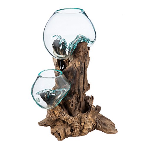 Blue Tinted Bubble Glass On Natural Teak Driftwood Terrarium W497546