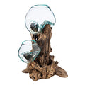 Blue Tinted Bubble Glass On Natural Teak Driftwood Terrarium W497546