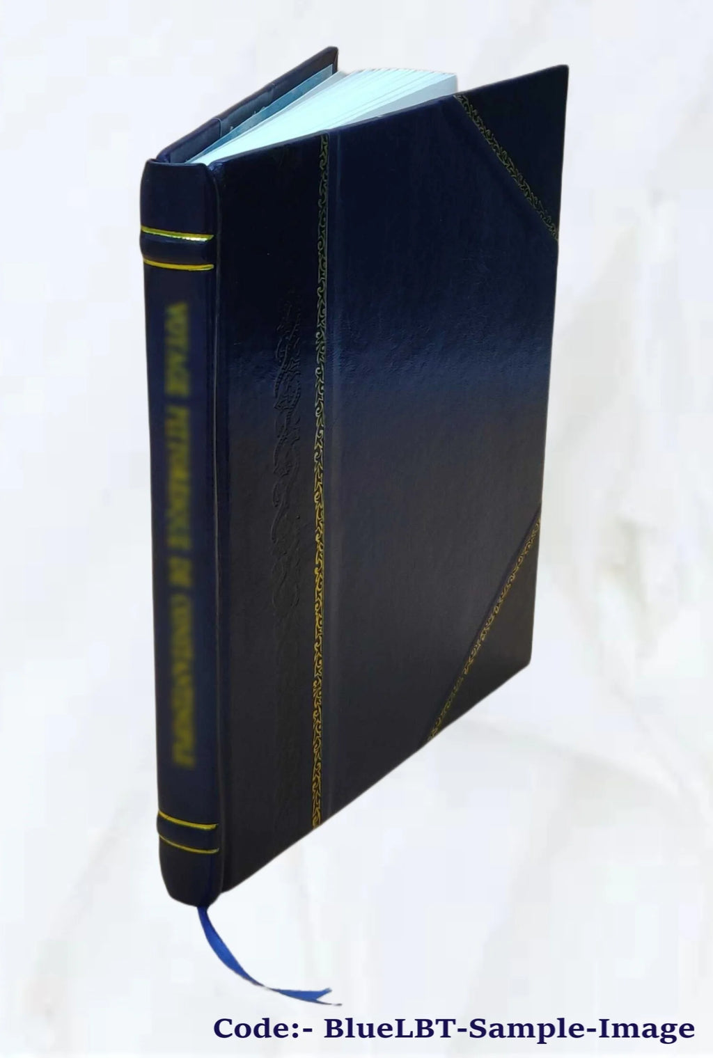 The Dido episode in the Aeneid of Virgil I3205