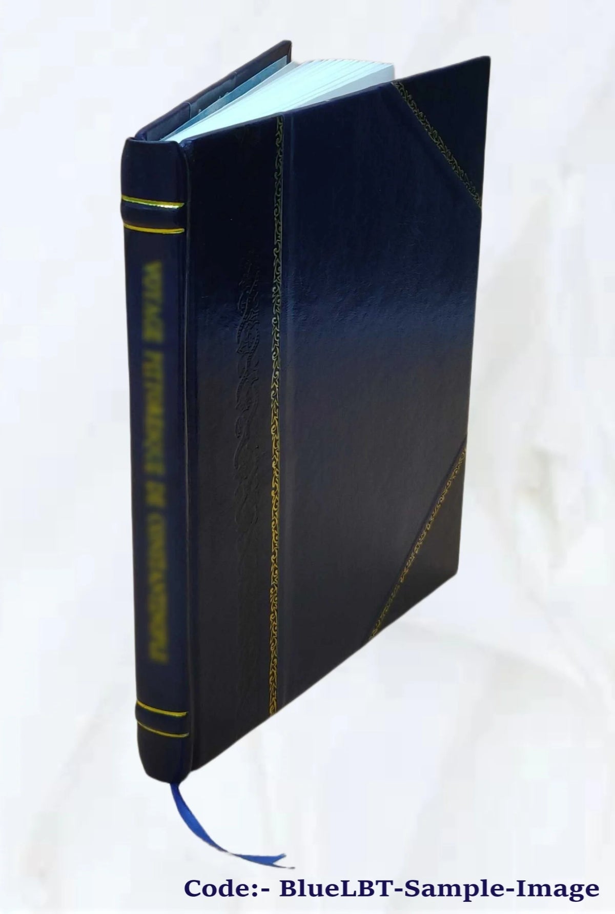 The Dido episode in the Aeneid of Virgil I3205