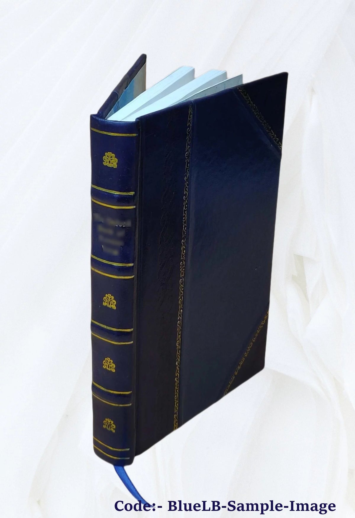 Ports Maritimes de la France Leather Bound L1770