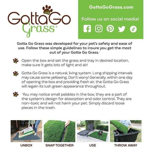 Grass with Tray B88655