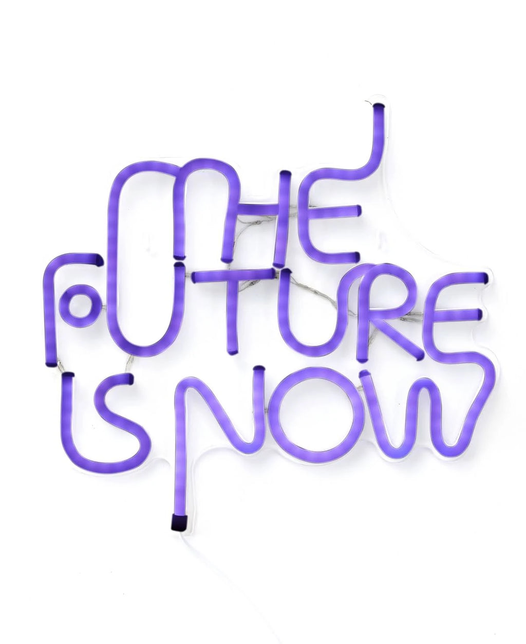 LED Neon Sign B3995