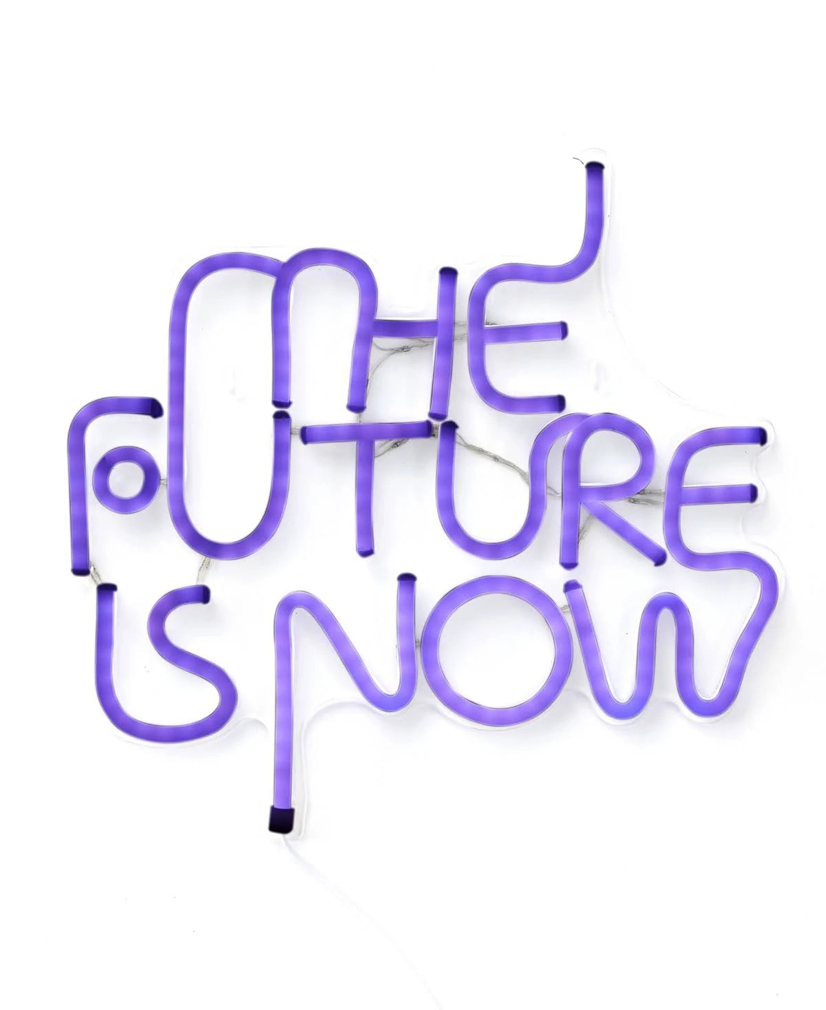LED Neon Sign B3995