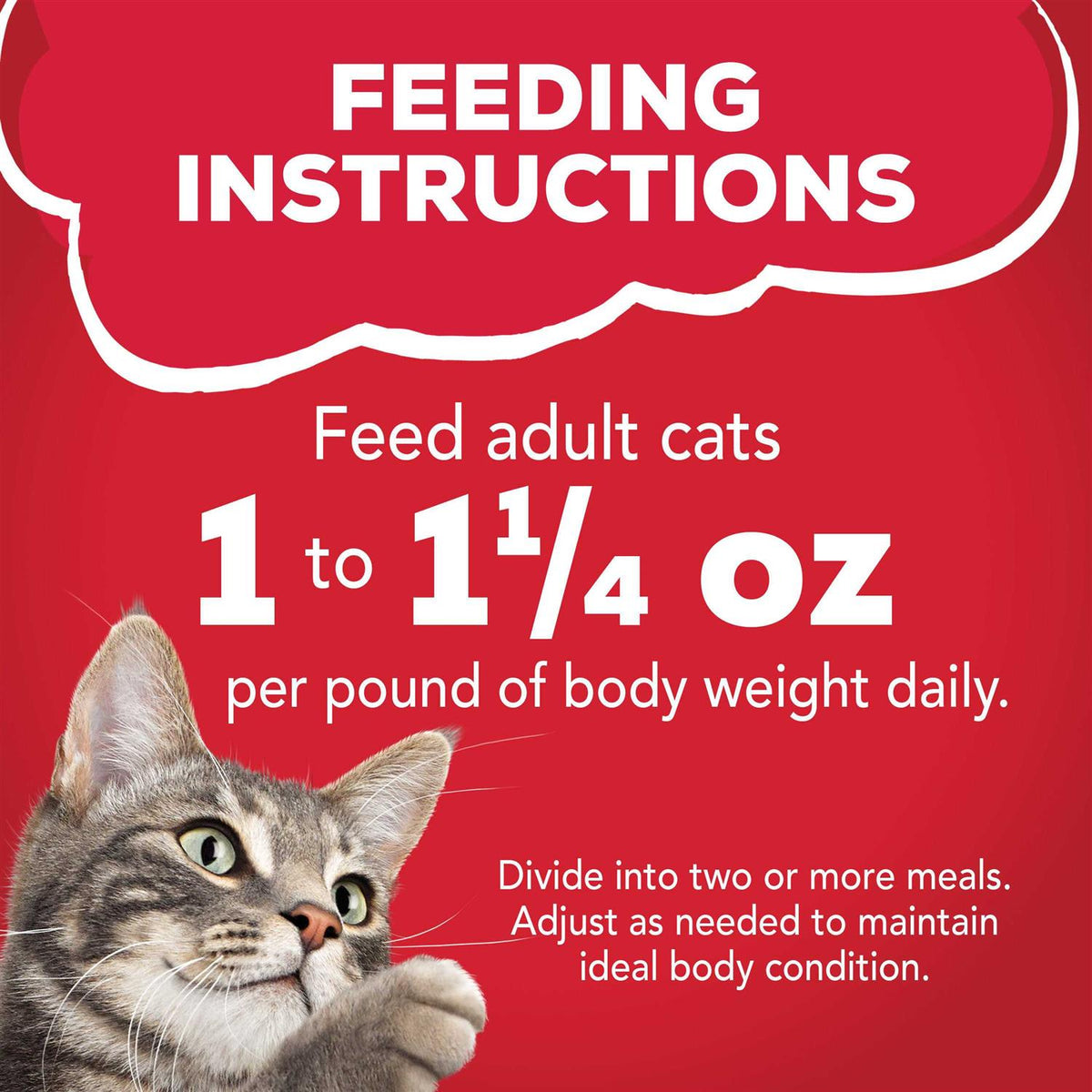 Beef Wet Cat Food X22417