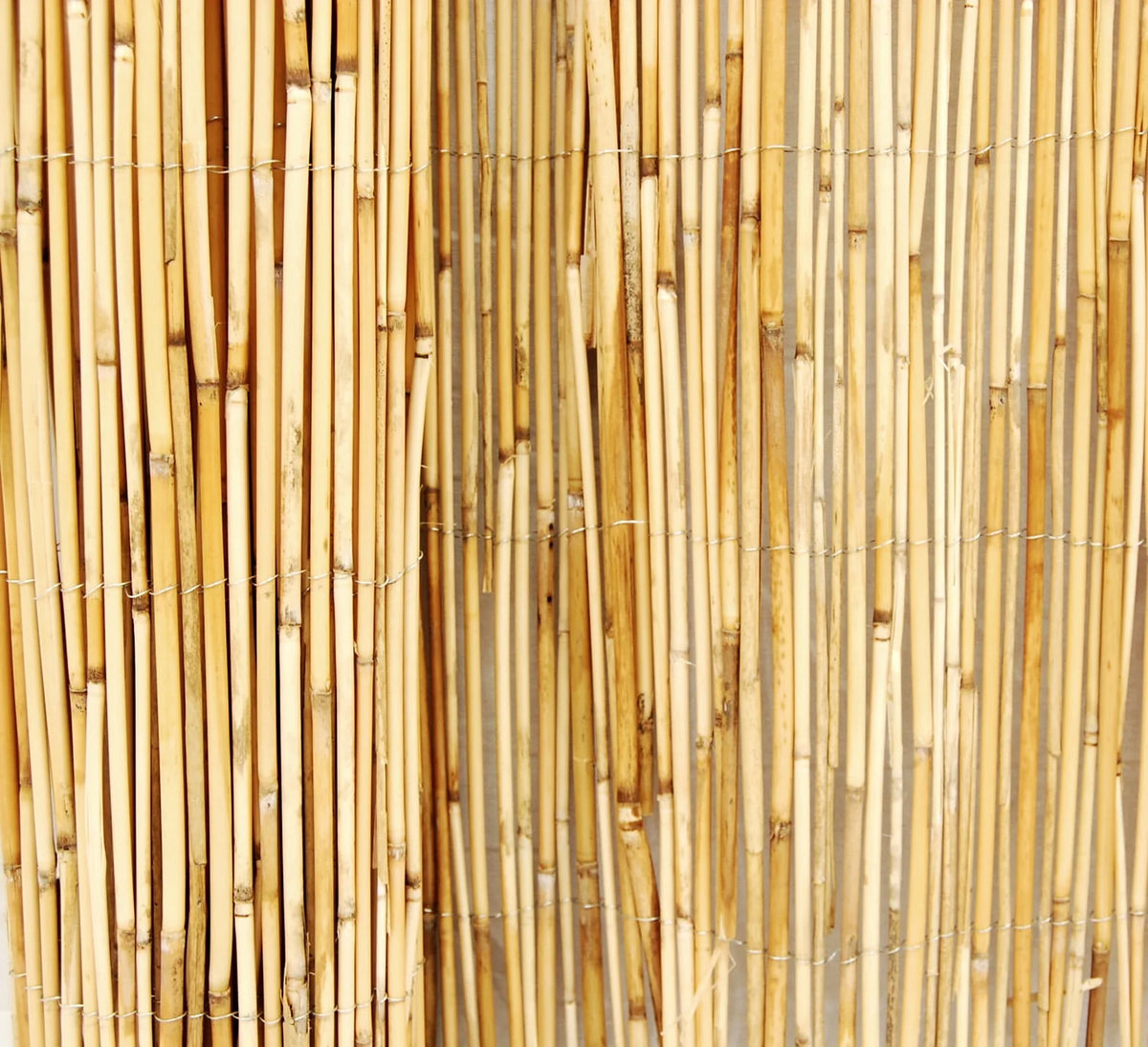 Natural Reed Fence Panel 4-Pack R157