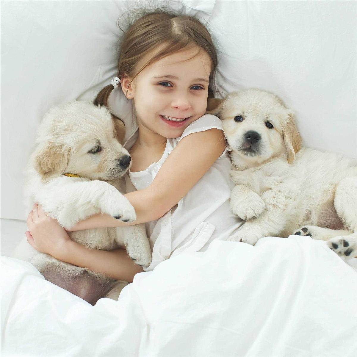Waterproof Pet Blanket Throw S6444