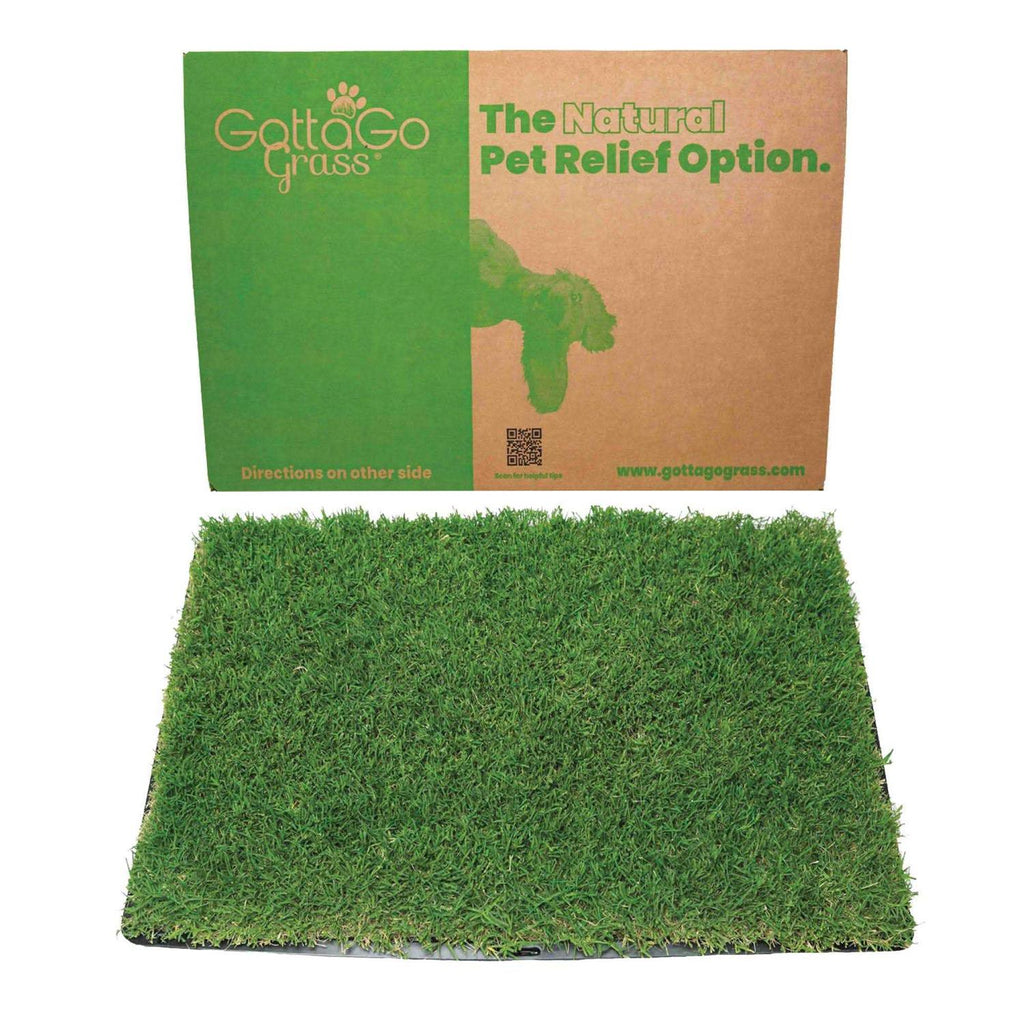 Grass with Tray B88655