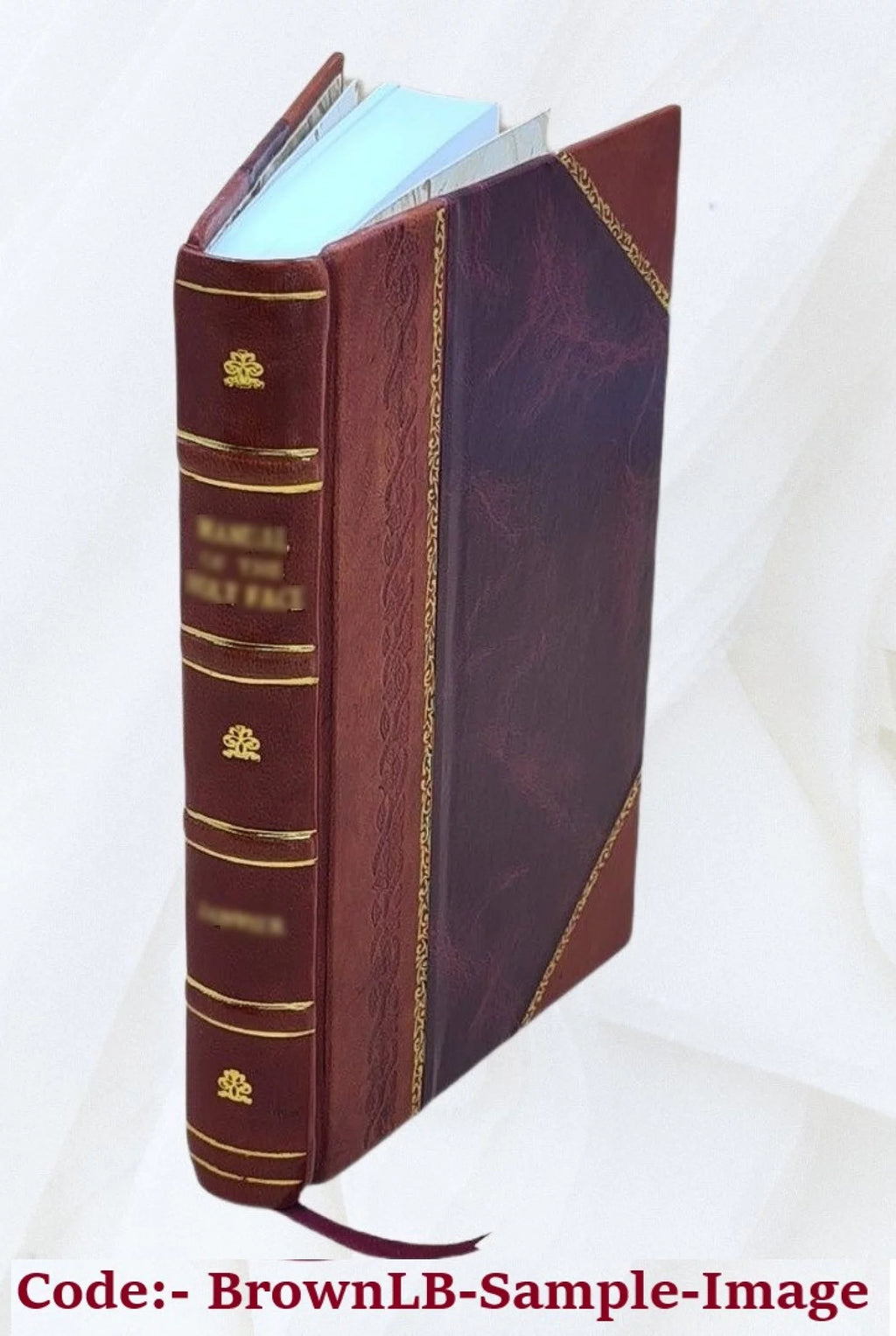 Leather Bound L184