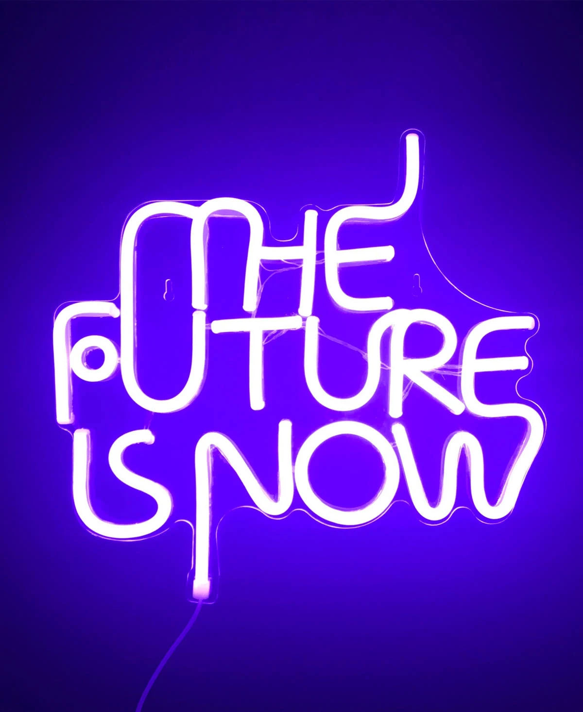 LED Neon Sign B3995