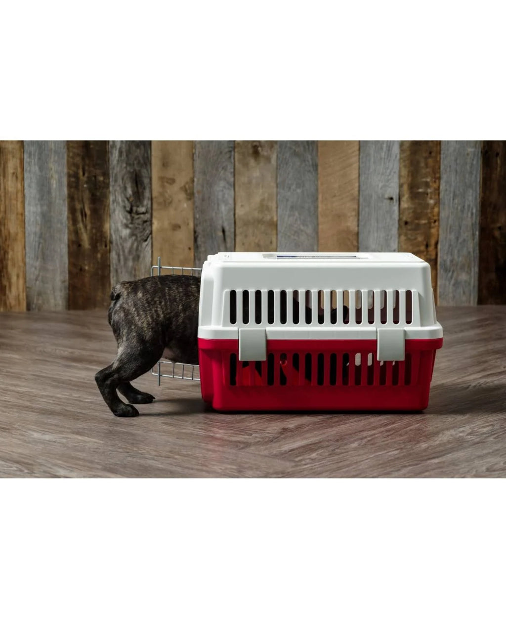 Red Extra Small Pet Travel Carrier X220515