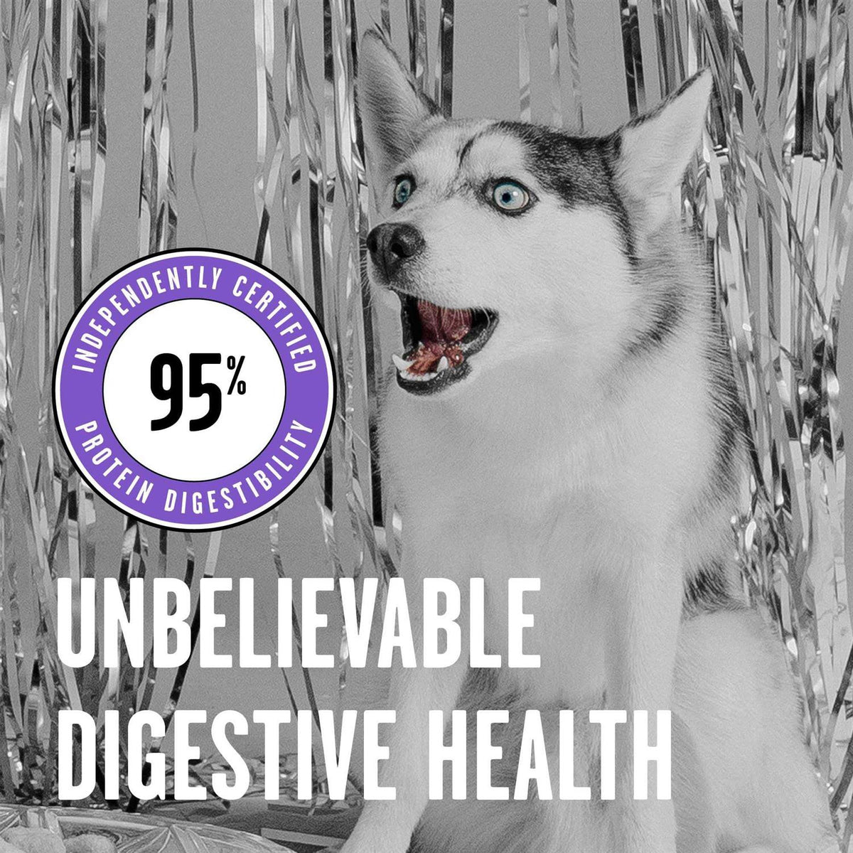 Freeze-Dried Dog Food B997398