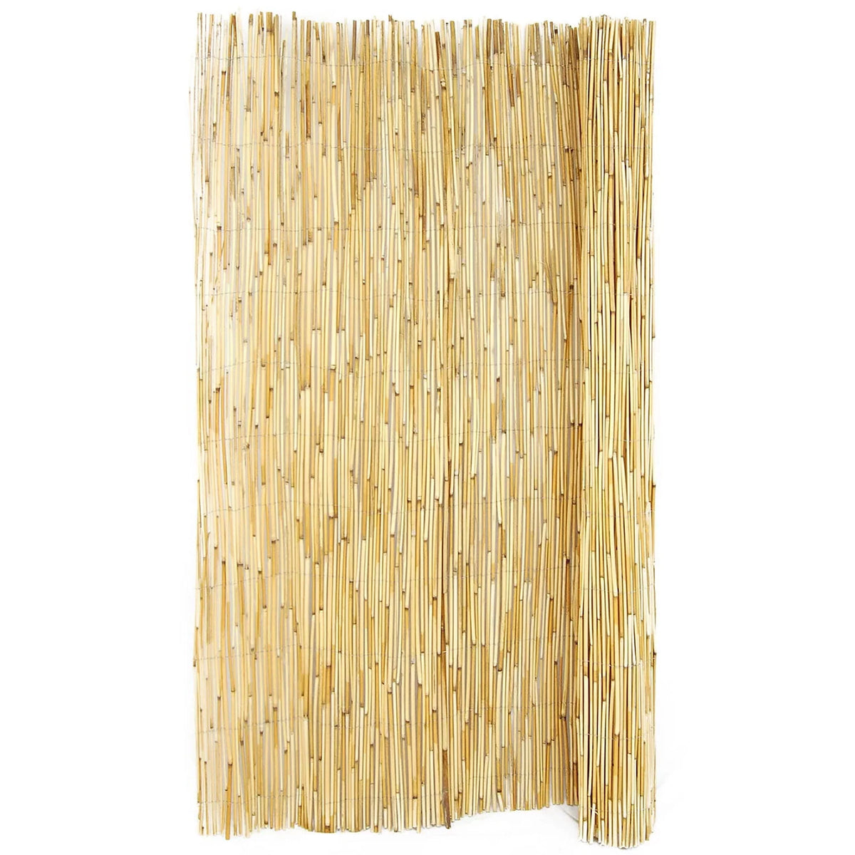 Natural Reed Fence Panel 4-Pack R157