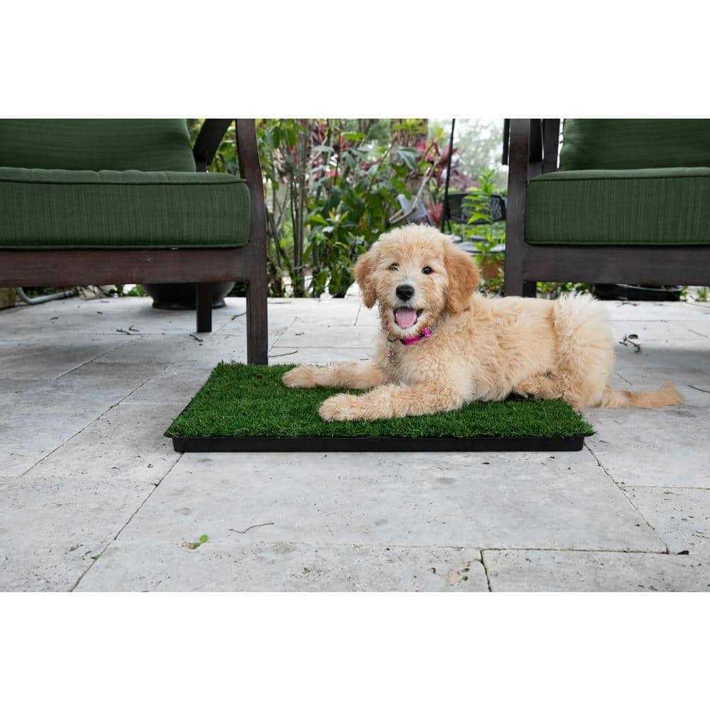 Grass with Tray B88655