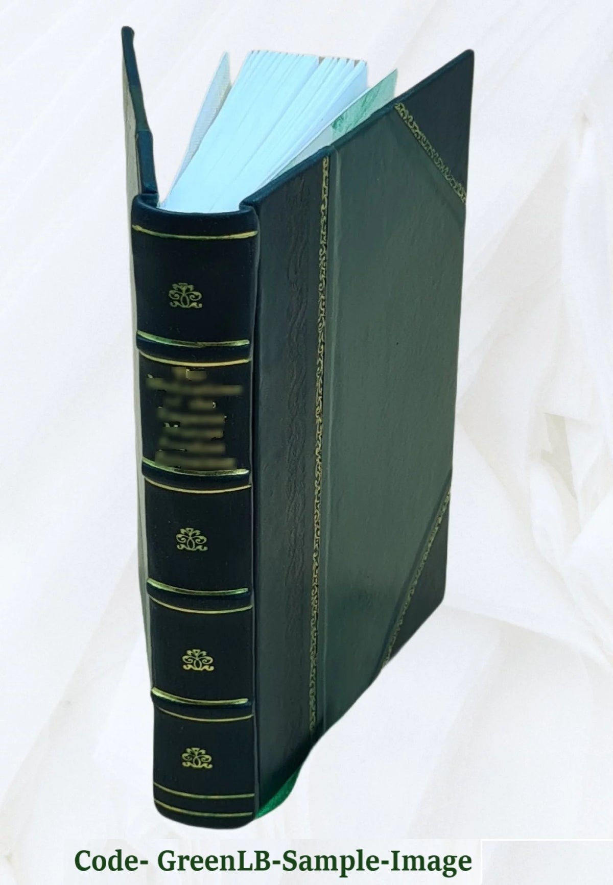 Ports Maritimes de la France Leather Bound L1770